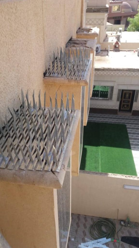 شركة تركيب طارد حمام في الرياض