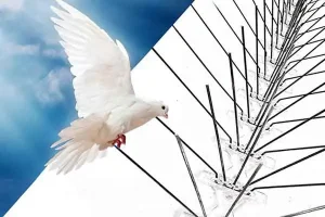 شركة تركيب طارد حمام في الرياض